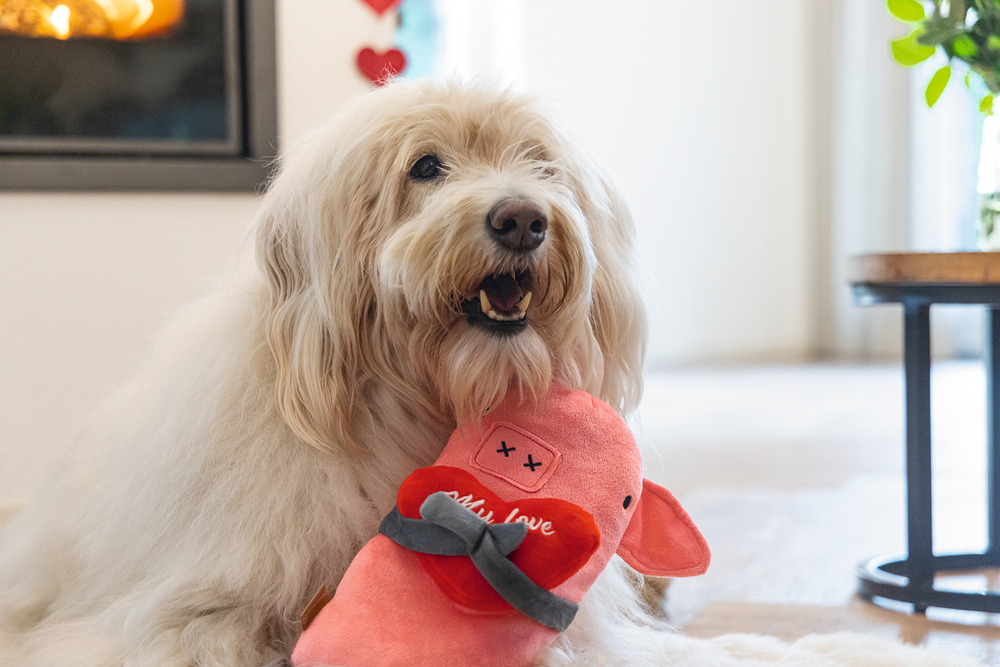Beeztees Hundespielzeug Valentinstag Liebesschweinchen