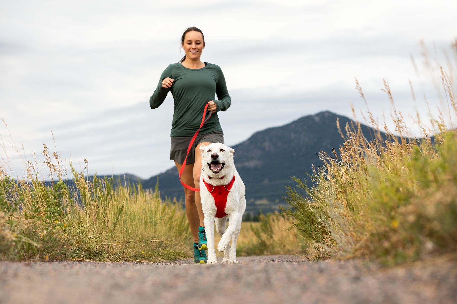 Ruffwear Front Range Harness Red Sumac Ruffwear Front Range Harness Red Sumac