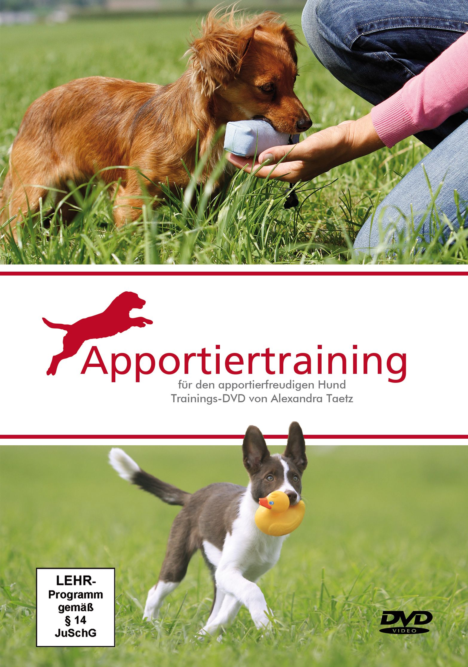 Apportierttraining [DVD] [Alexandra Taetz]