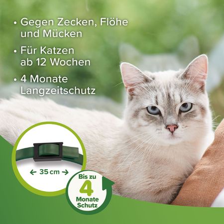 Beaphar Zecken- & Flohschutz Halsband 35cm Katze