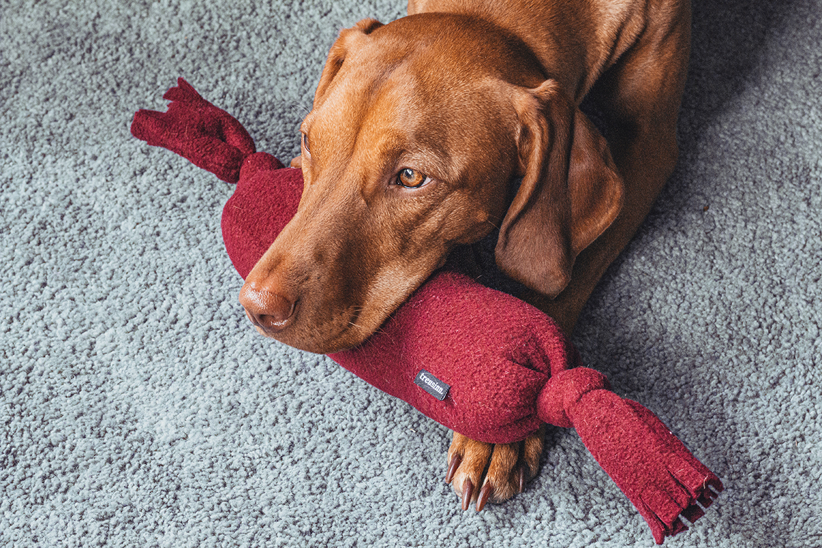 Treusinn Kuschelwurst PELLE bordeaux