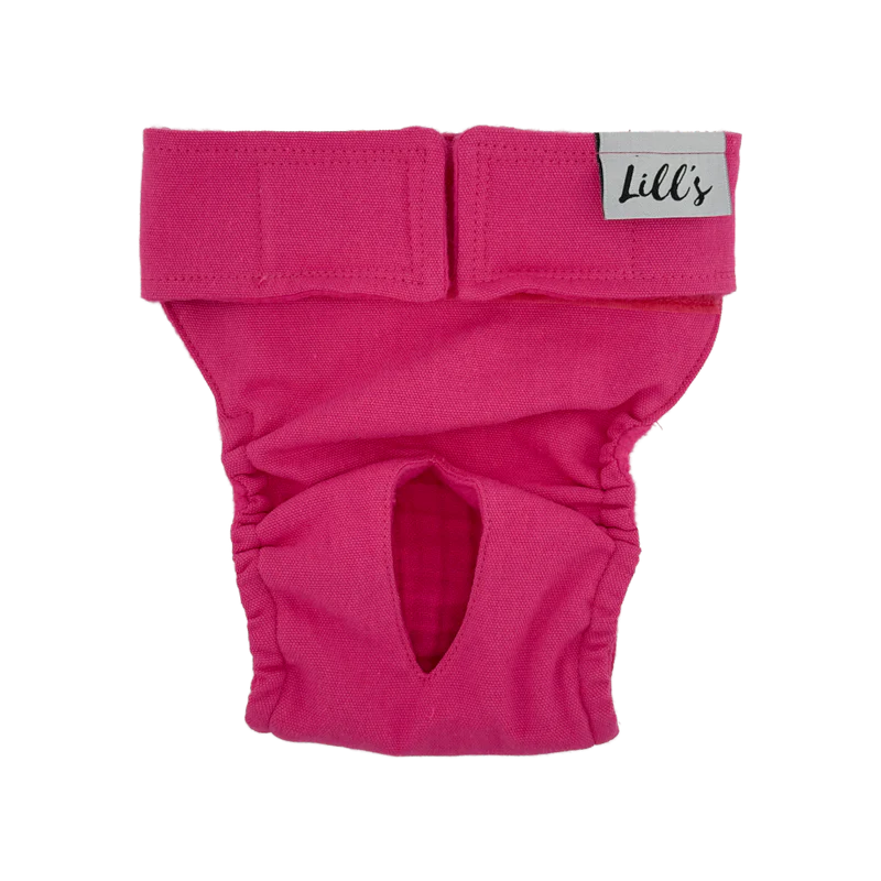 Lill's Läufigkeitshöschen aus Bio-Baumwolle Lou Beetroot