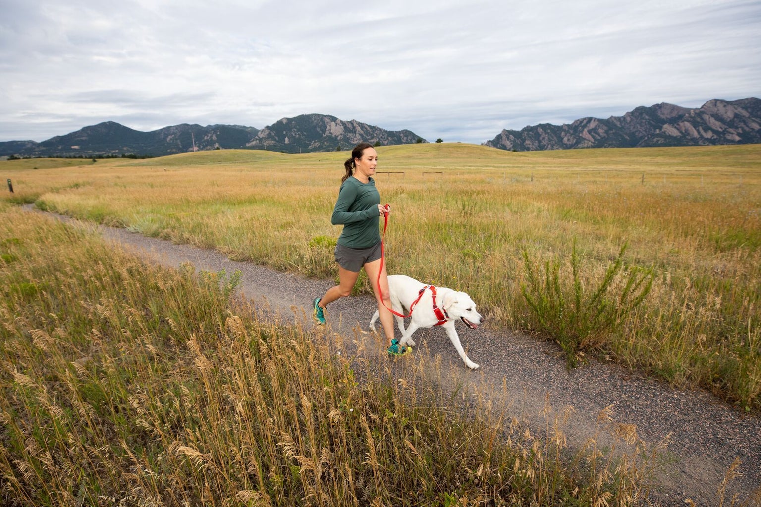 Ruffwear Front Range Harness Red Sumac Ruffwear Front Range Harness Red Sumac