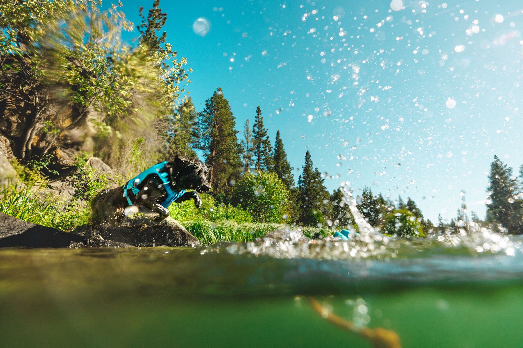 Ruffwear Confluence™ Support Jacket Biolumin Blue Ruffwear Confluence™ Support Jacket Biolumin Blue