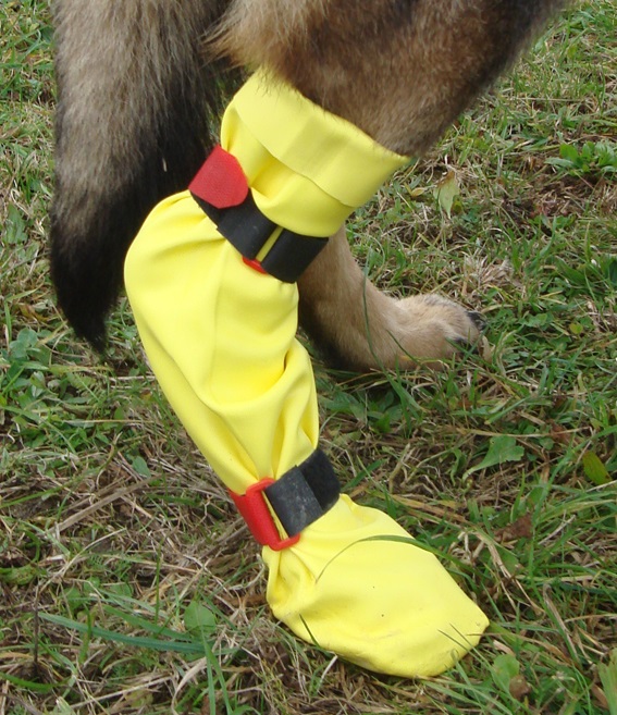 DogGusti® Strumpf aus Naturlatex