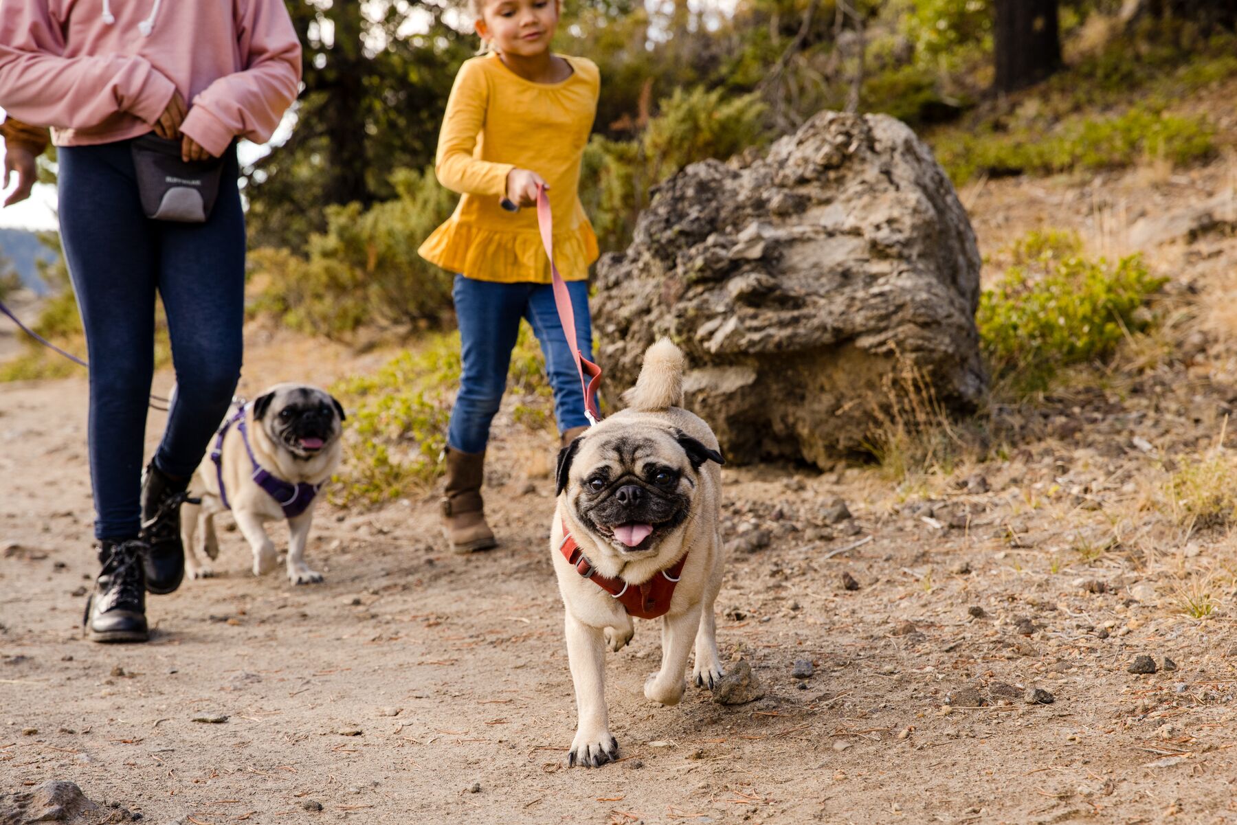 RuffWear Front Range® Harness Red Clay