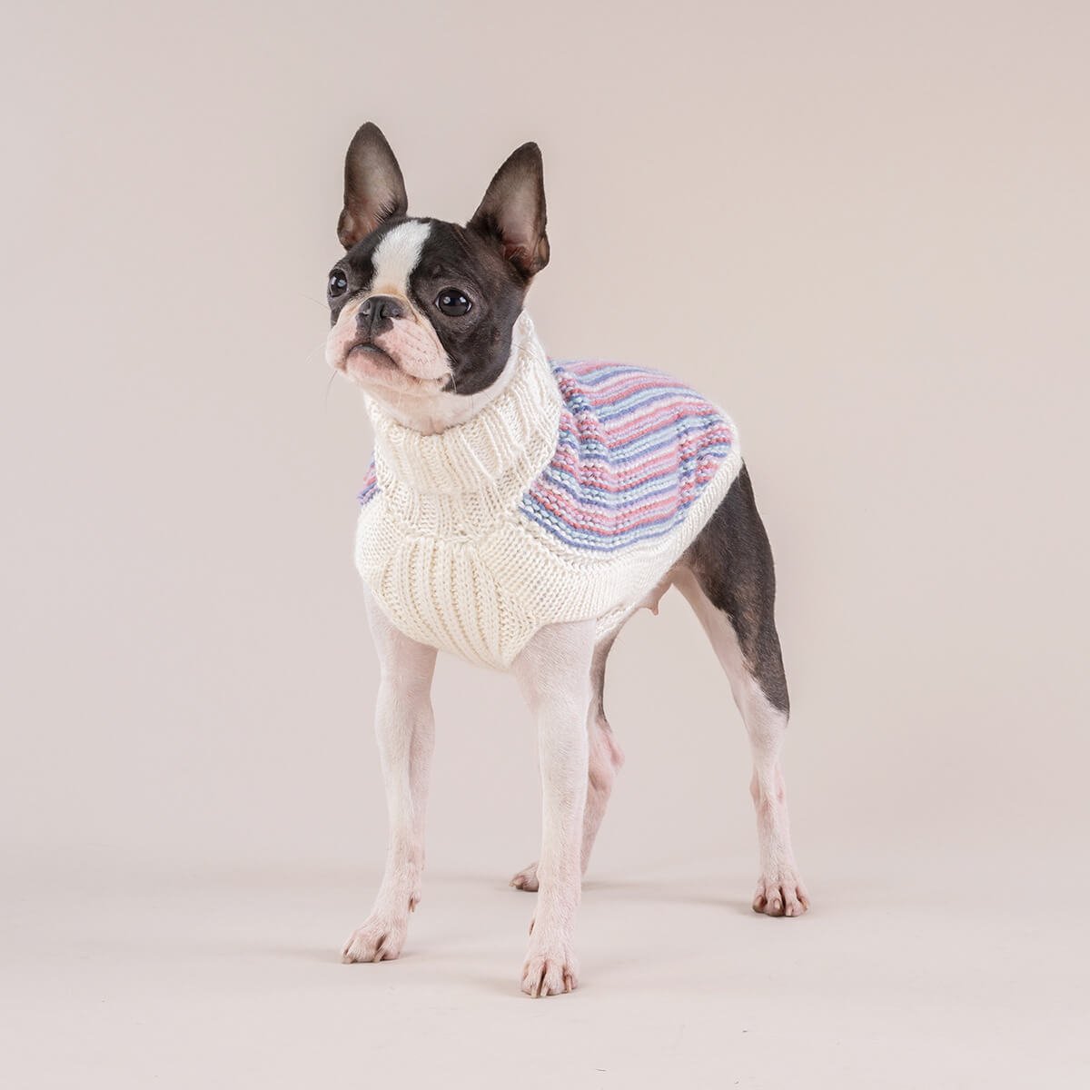 Alqo Wasi Hunde-Pullover Popcorn Candy