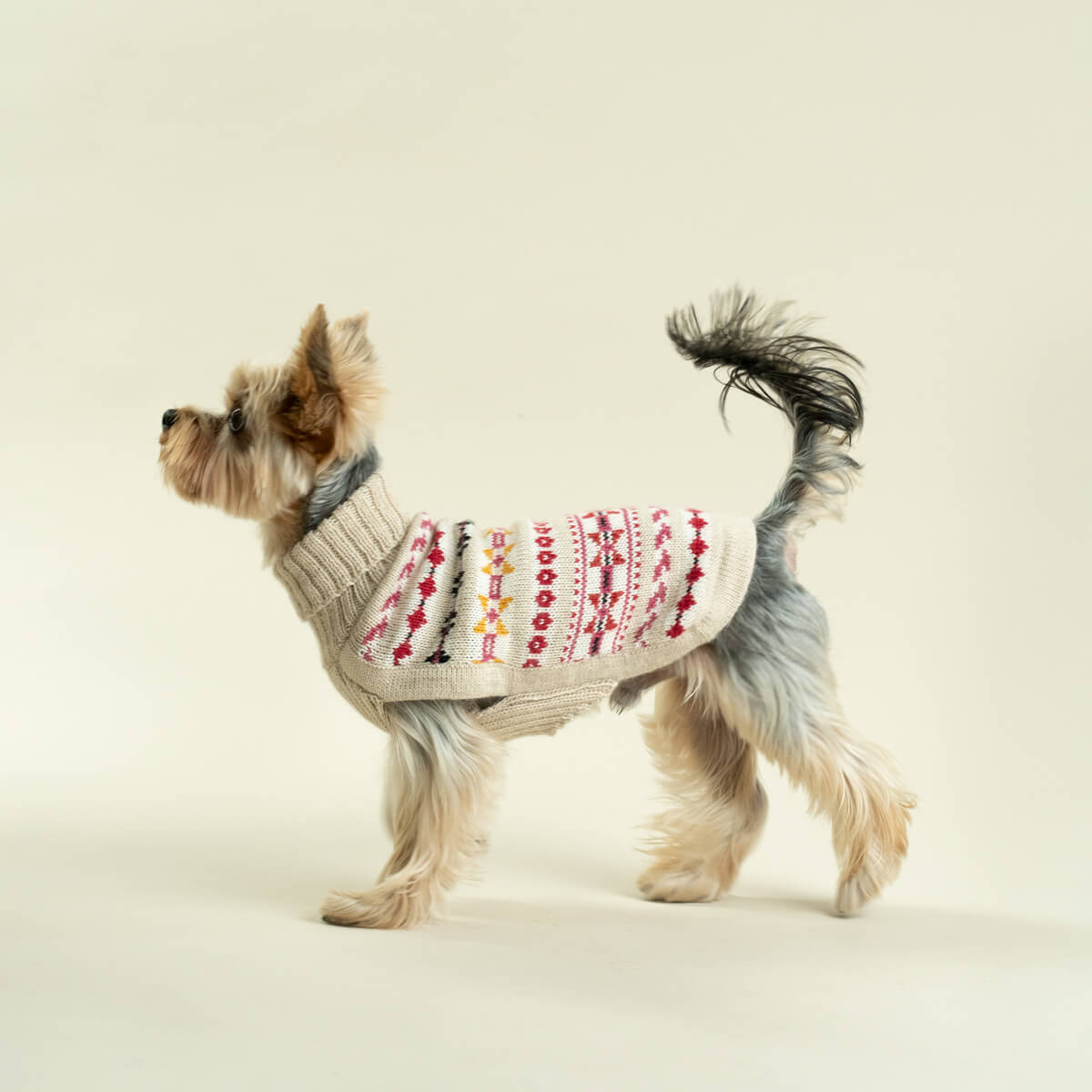 Alqo Wasi Hunde-Pullover Aurora