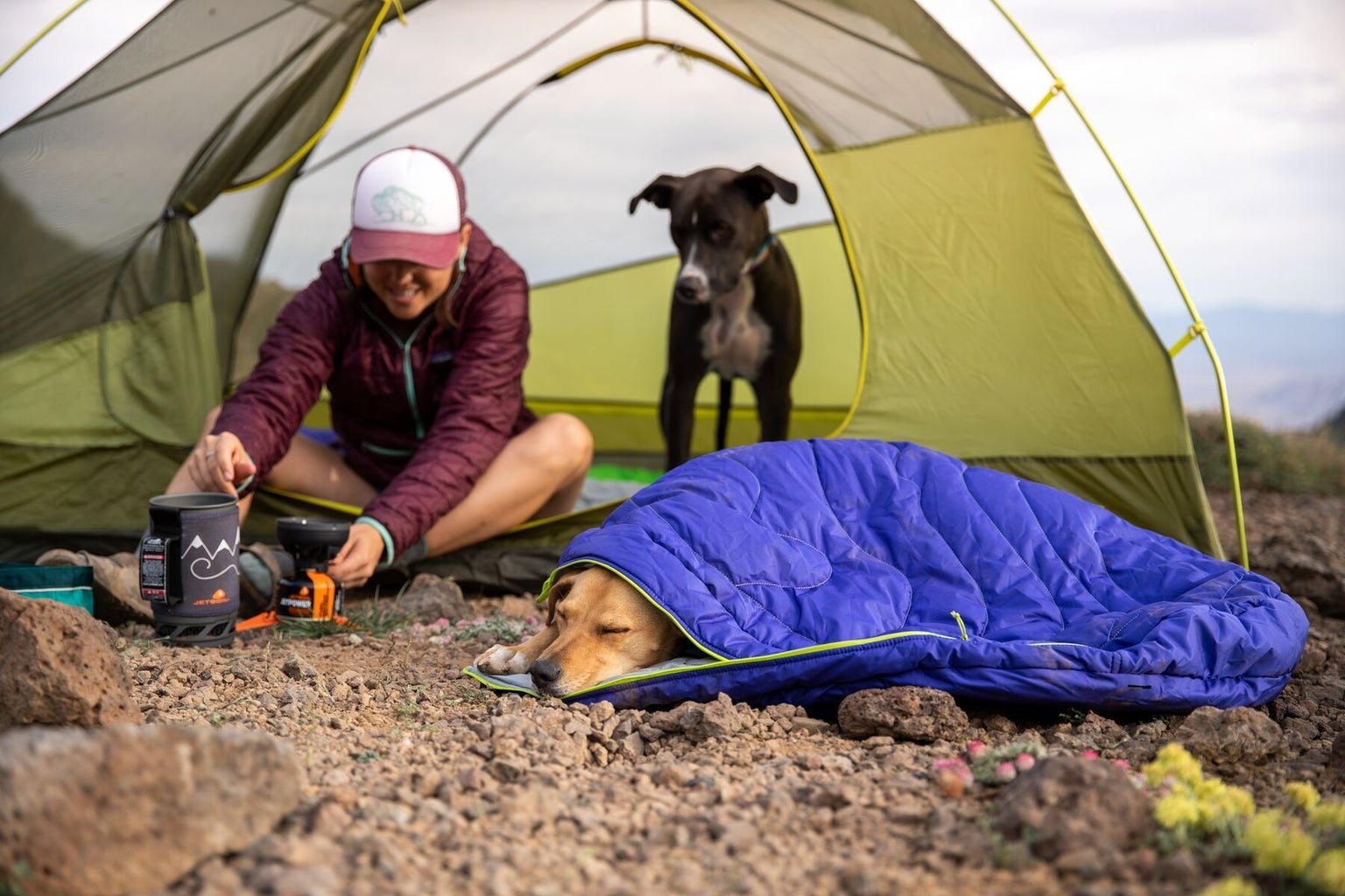 Ruffwear Highlands Sleeping Bag Huckleberry Blue