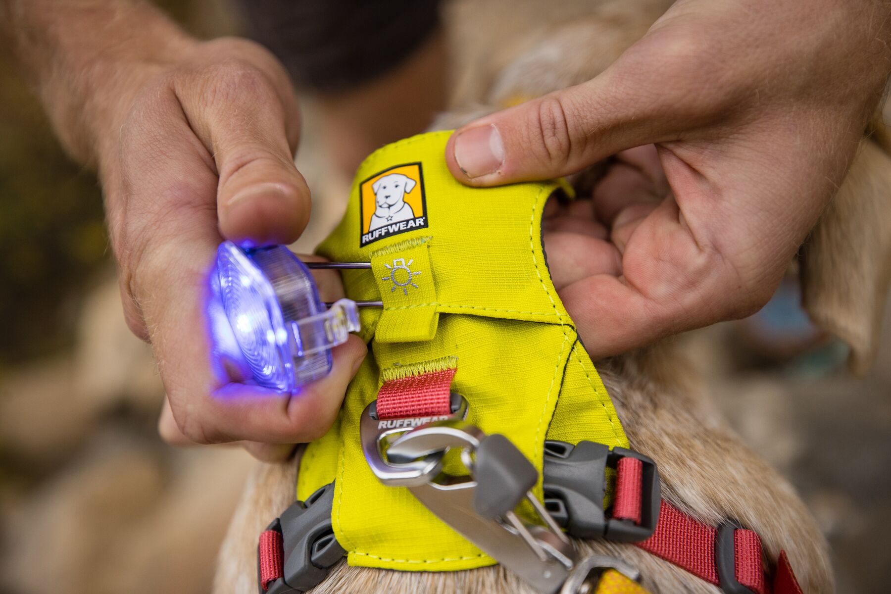 RuffWear Hi & Light™ Harness Lichen Green RuffWear Hi & Light™ Harness Lichen Green