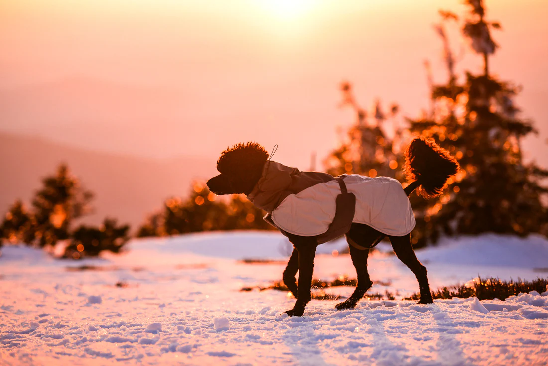 Non-stop dogwear Glacier Wool Jacket 3.0 green