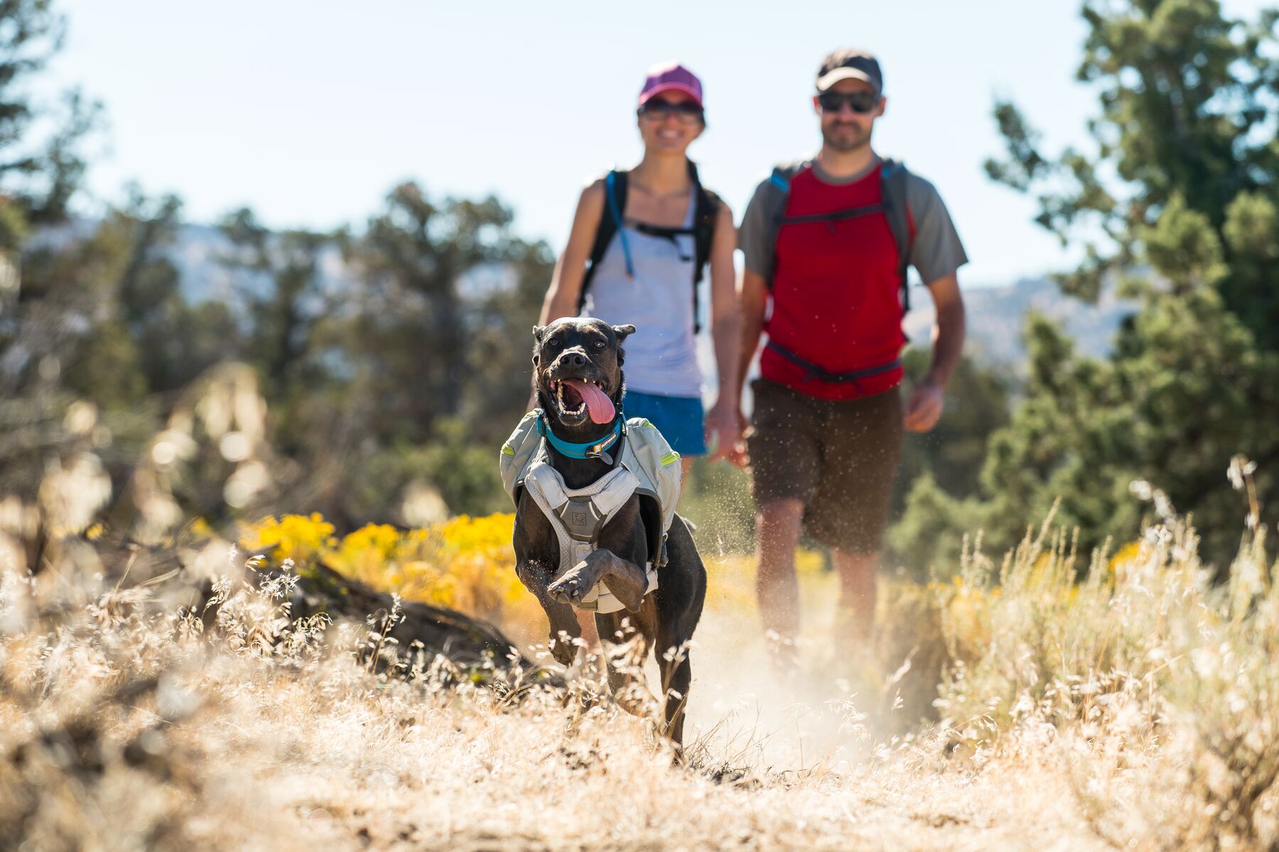 Ruffwear Core Cooler Graphite Gray