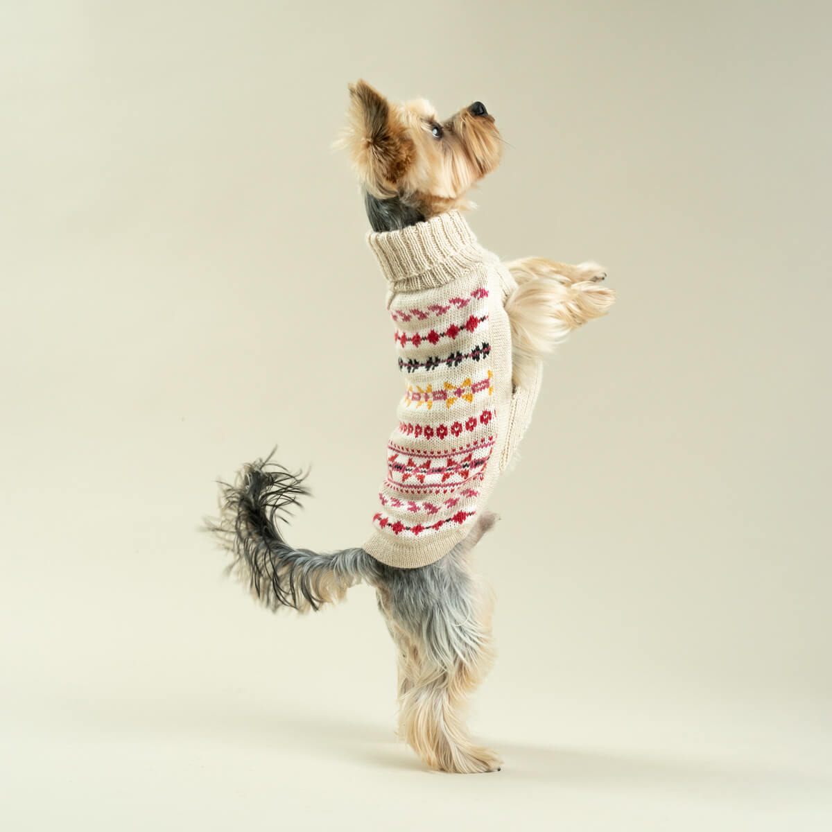 Alqo Wasi Hunde-Pullover Aurora