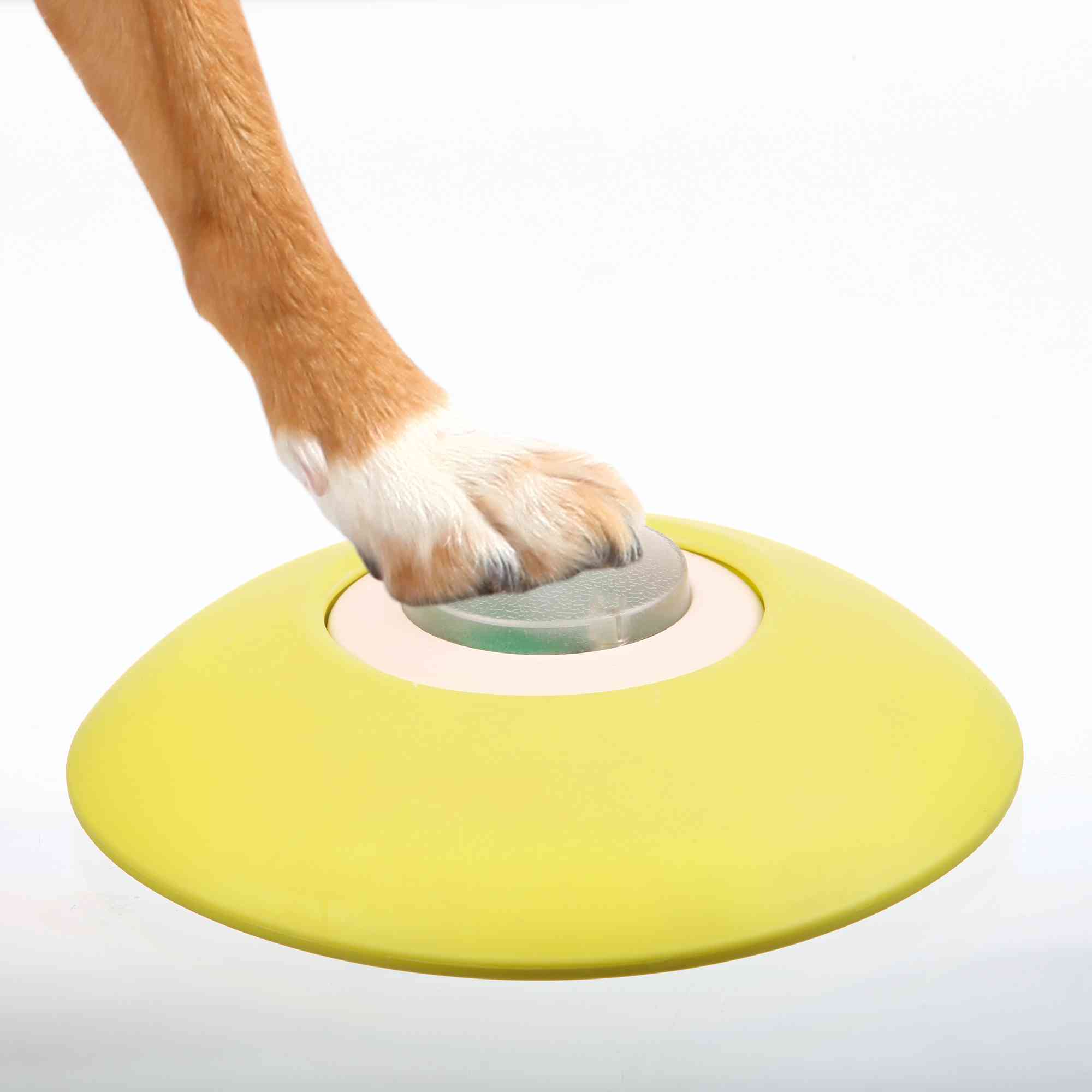 Trixie Dog Activity Memory Trainer 2.0 ø 20 × 24cm