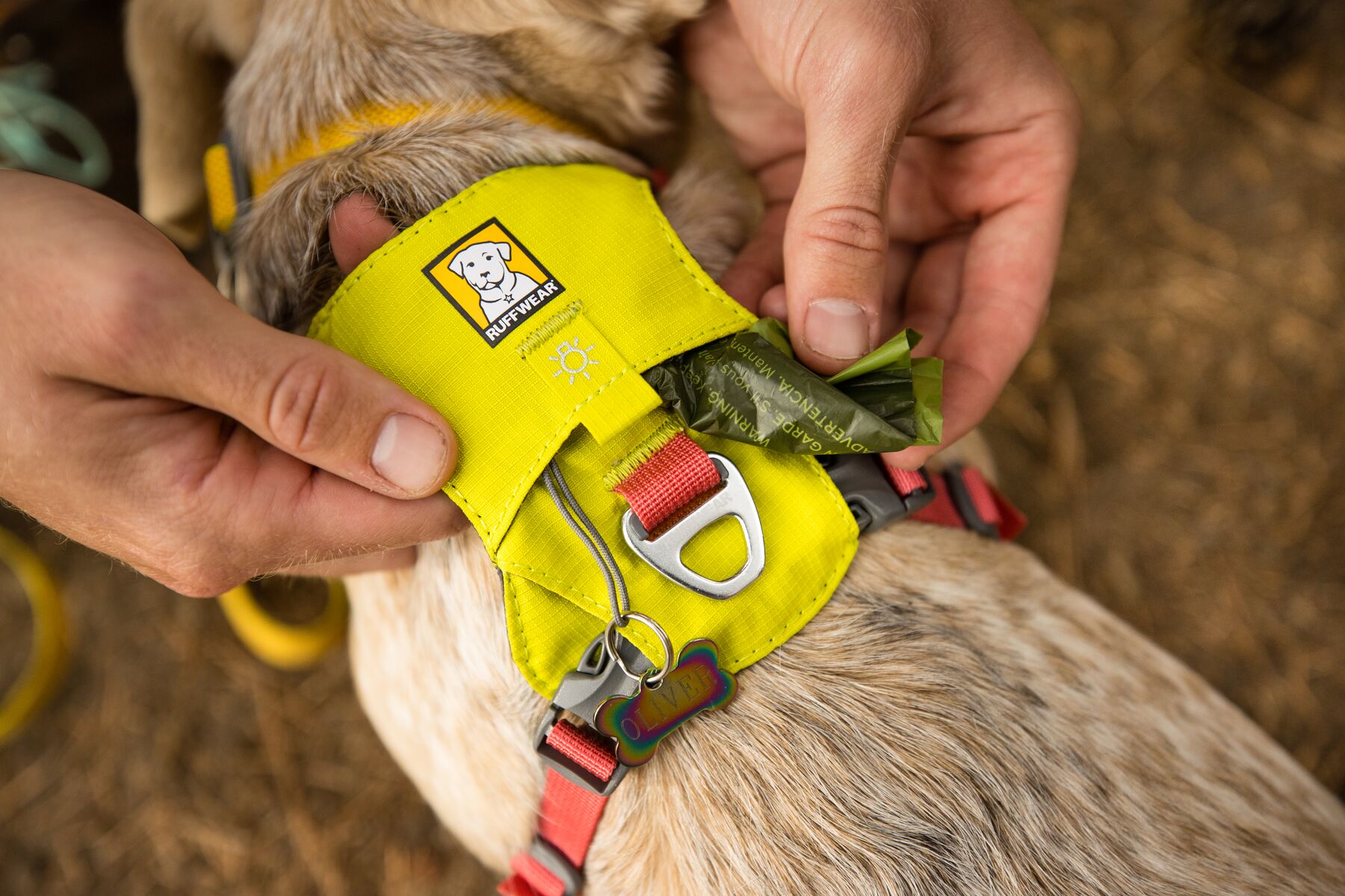 RuffWear Hi & Light™ Harness Lichen Green