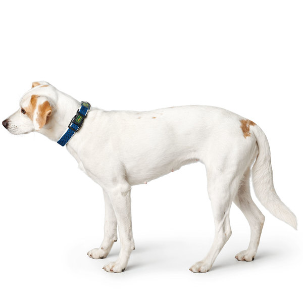 Hunter Halsung Hilo Vario Basic, mesh