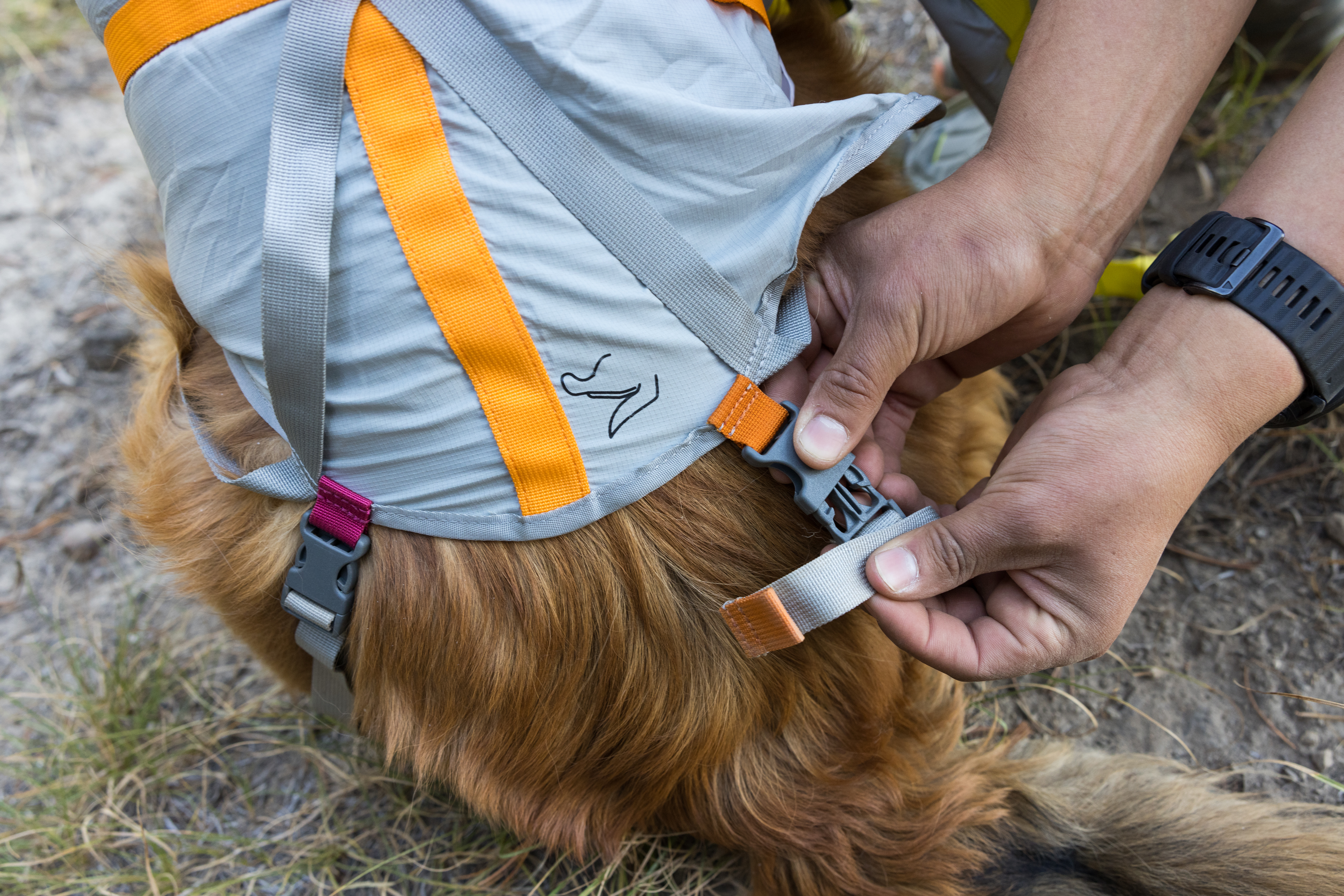 Ruffwear BackTrak™ Dog Evacuation Kit Cloudburst Gray Ruffwear BackTrak™ Dog Evacuation Kit Cloudburst Gray