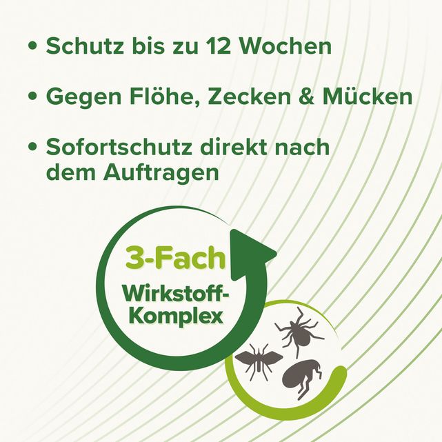 Beaphar Zecken- und Flohschutz SPOT-ON 3x2ml für große Hunde (ab 15 kg)