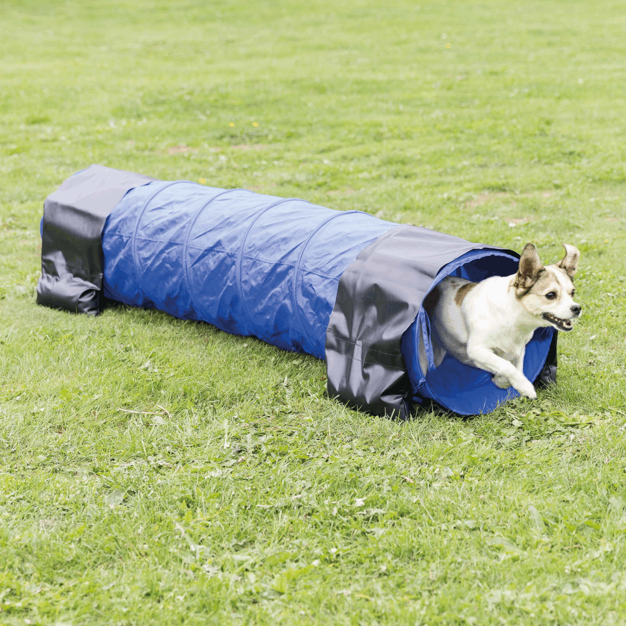 Trixie Dog Activity Agility Tunnel ø 40cm / 2 m, blau