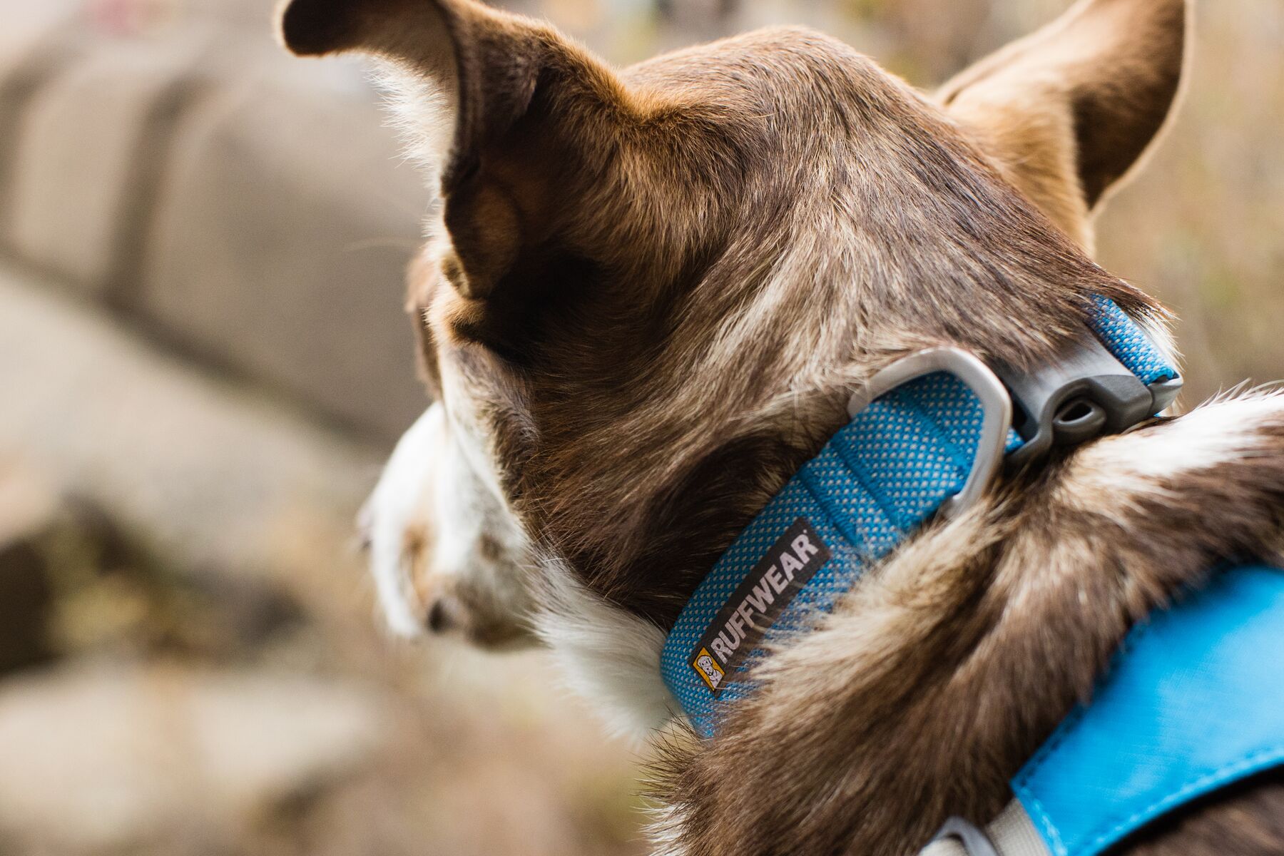 RuffWear Hi & Light™ Collar