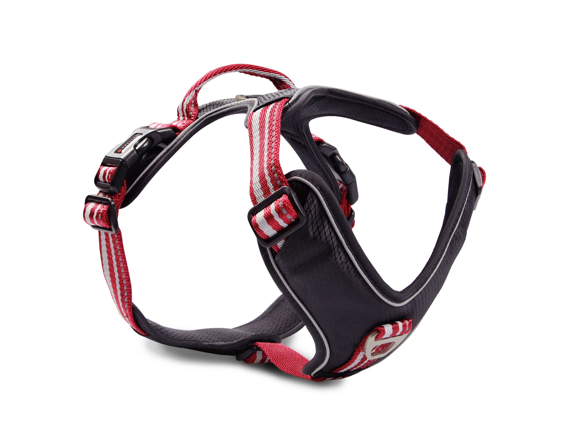 Wolters Geschirr Active Pro
