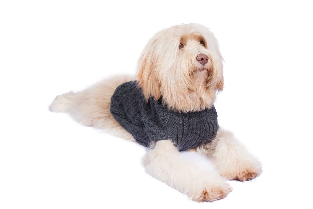Alqo Wasi Hunde-Pullover Diamond Cable knit Charcoal