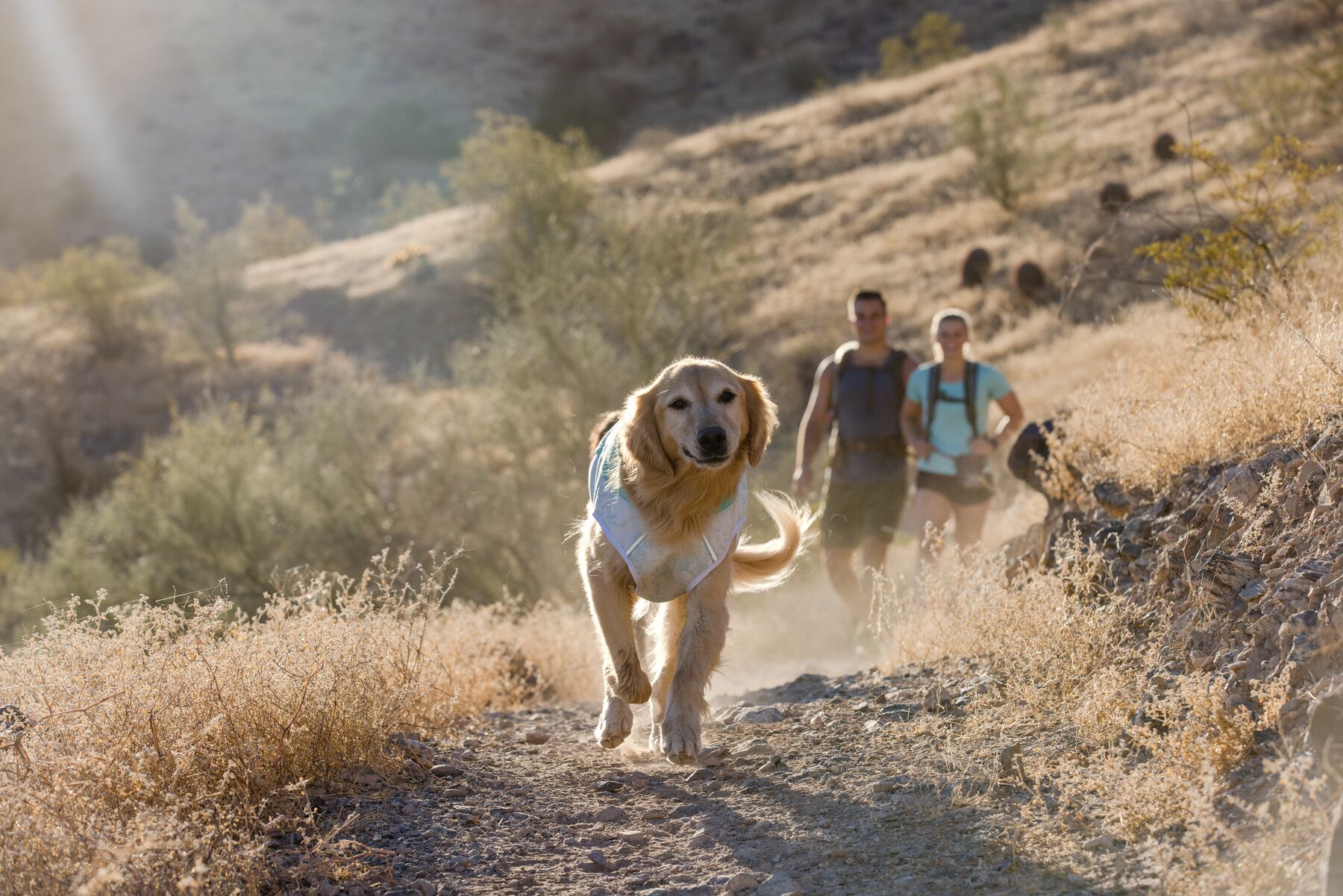 RuffWear Swamp Cooler™ Vest Sage Green