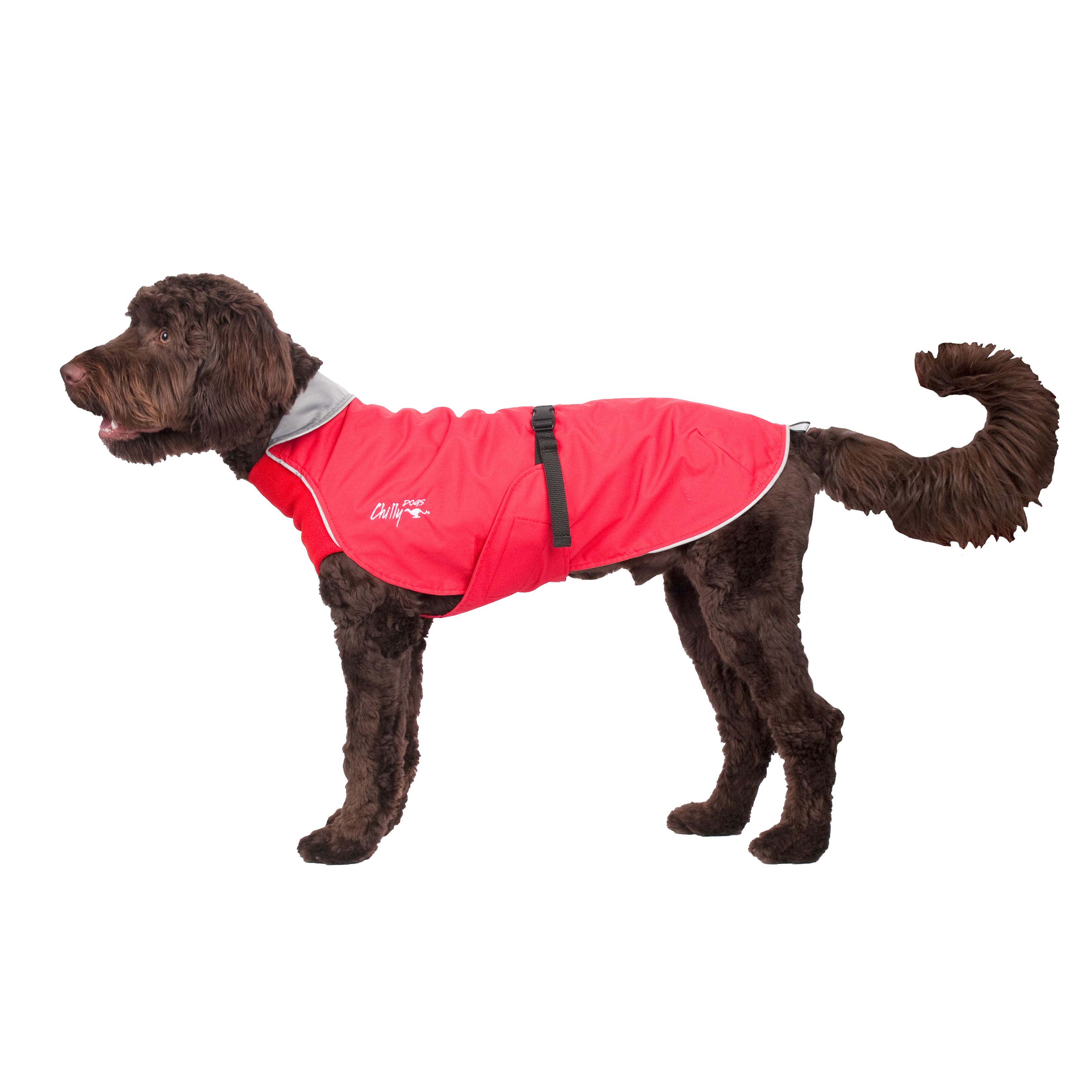 Chilly Dogs Harbour Slicker STANDARD