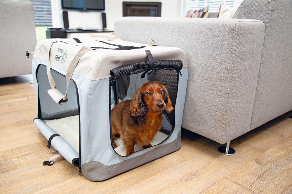 Beeztees Nylonbox Travel Time