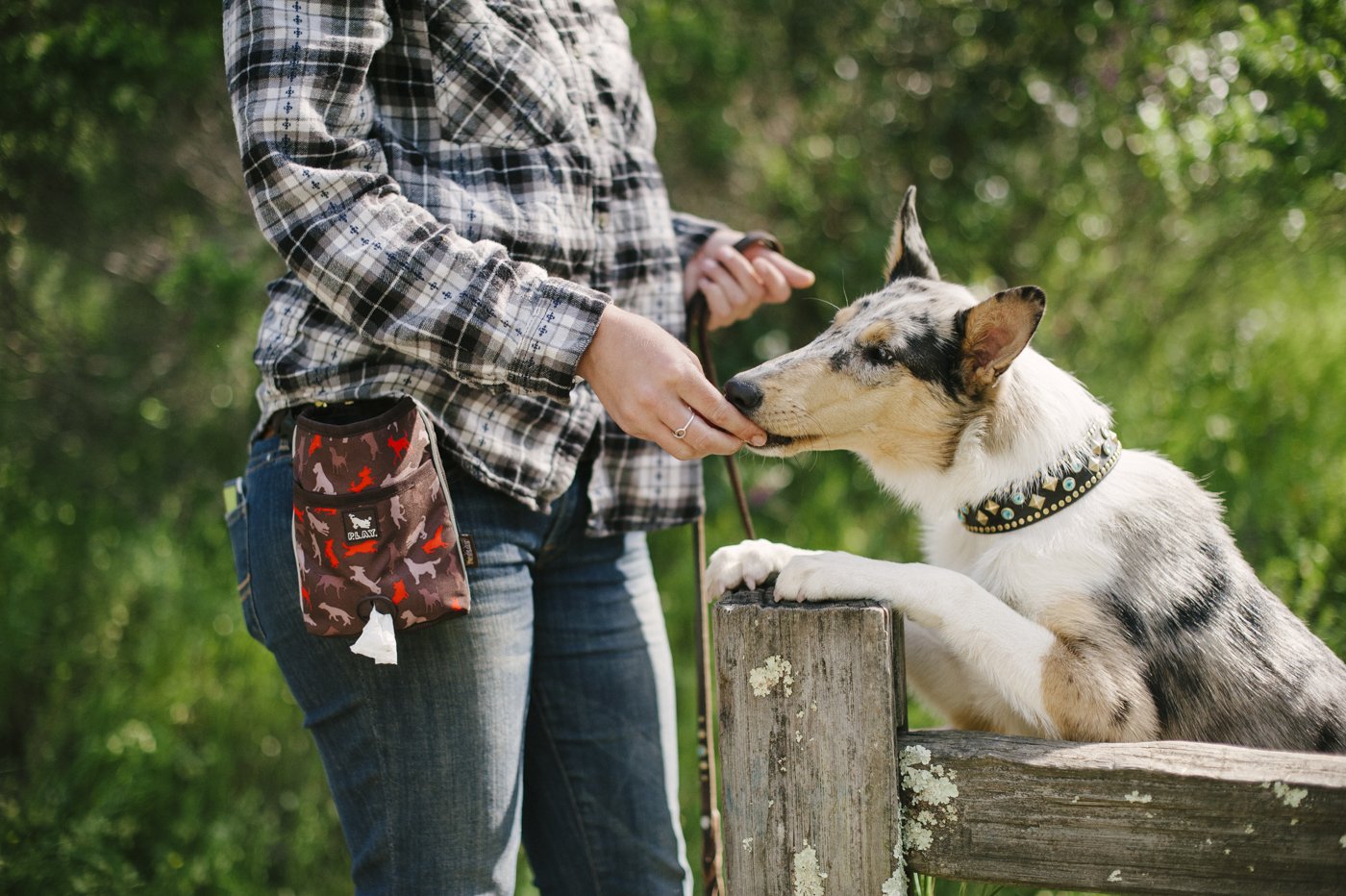 P.L.A.Y. Scout & About Landscape Series Deluxe Training Pouch