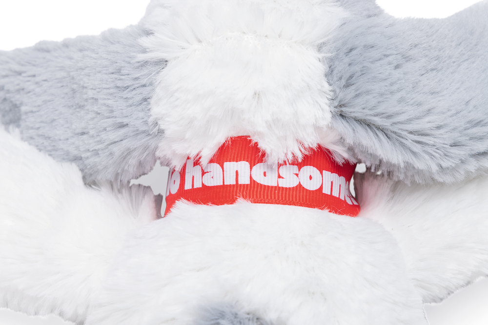 Beeztees Hundespielzeug Valentinstag Hund Ties