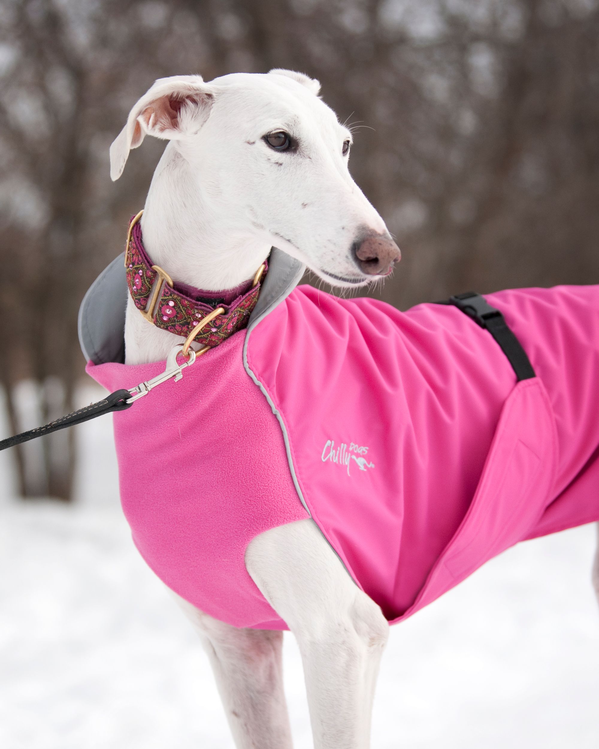 Chilly Dogs Harbour Slicker STANDARD Chilly Dogs Harbour Slicker STANDARD