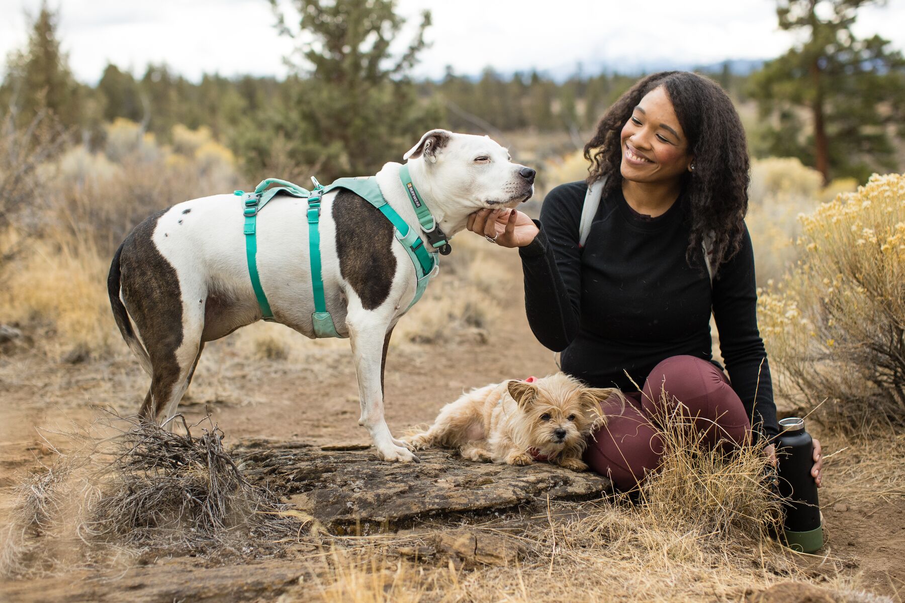 RuffWear Flagline™ Harness Sage Green