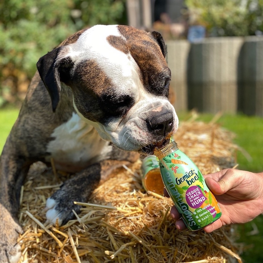 SmoothieDog Gemüsebeet 250ml