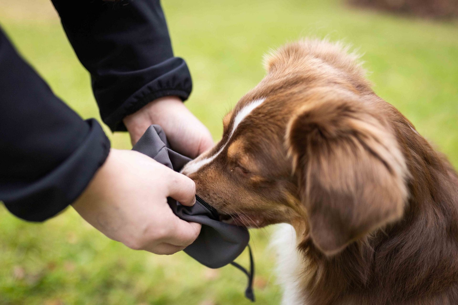 Wolters Adventure Dummy