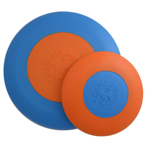 Planet Dog Zoom Flyer