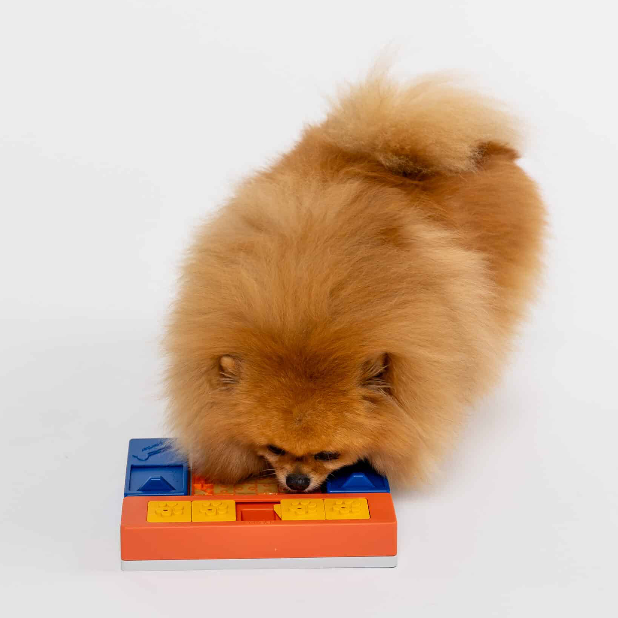 Pawzler interaktives Hundepuzzle - Beginner set - Level 1-2