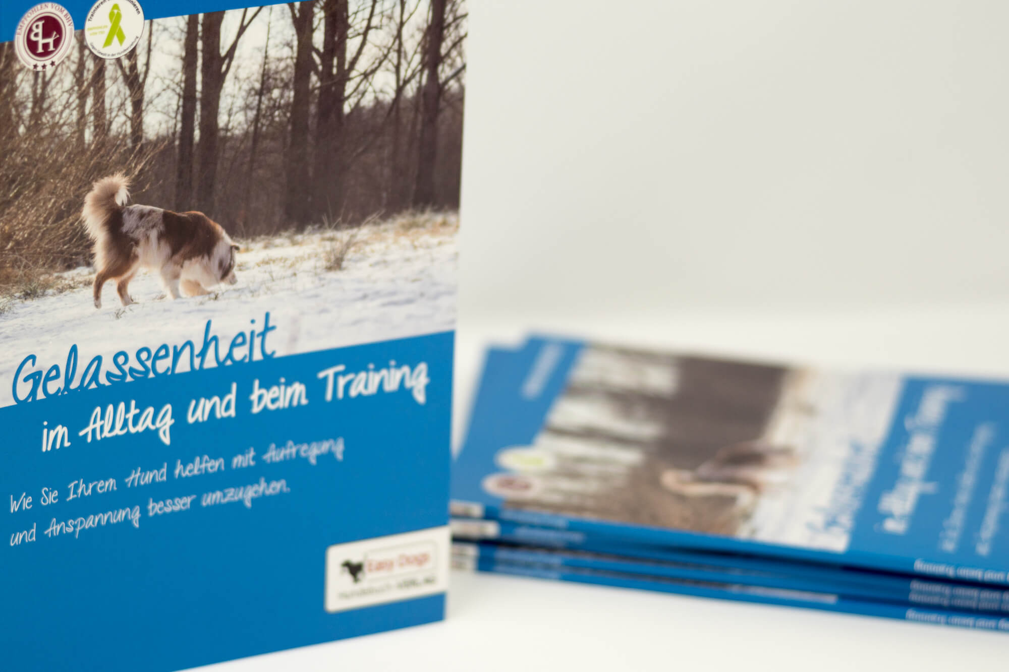 Easy Dogs Gelassenheit im Alltag und beim Training [Maria Rehberger]