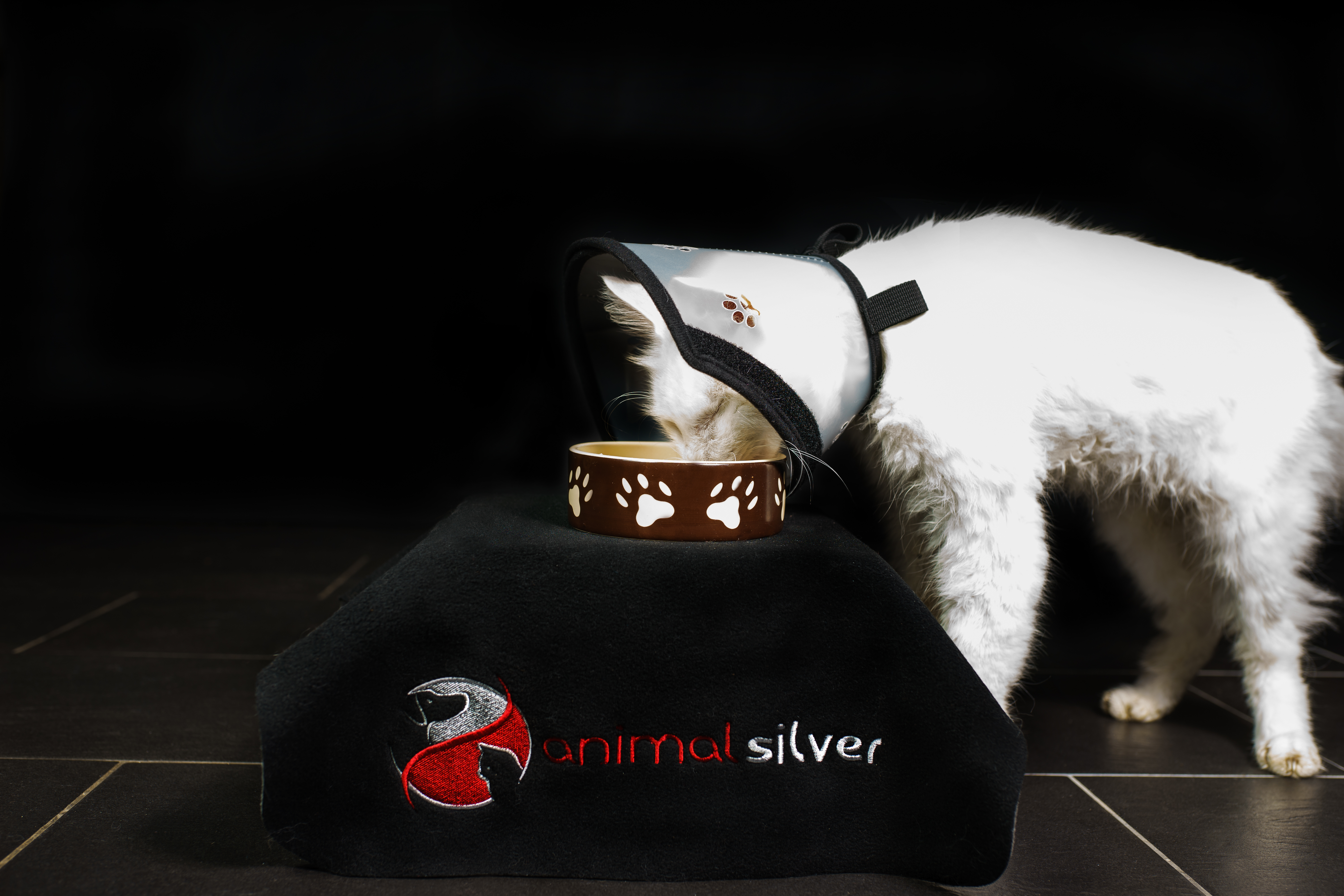 Animalsilver Pet Airs Halskrause mit abnehmbarem Teilstück