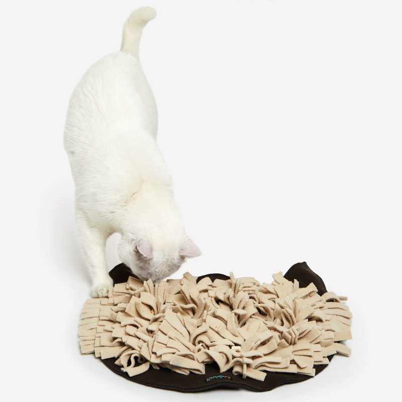 Knauder's Best Schnüffelrasen ® KATZE braun