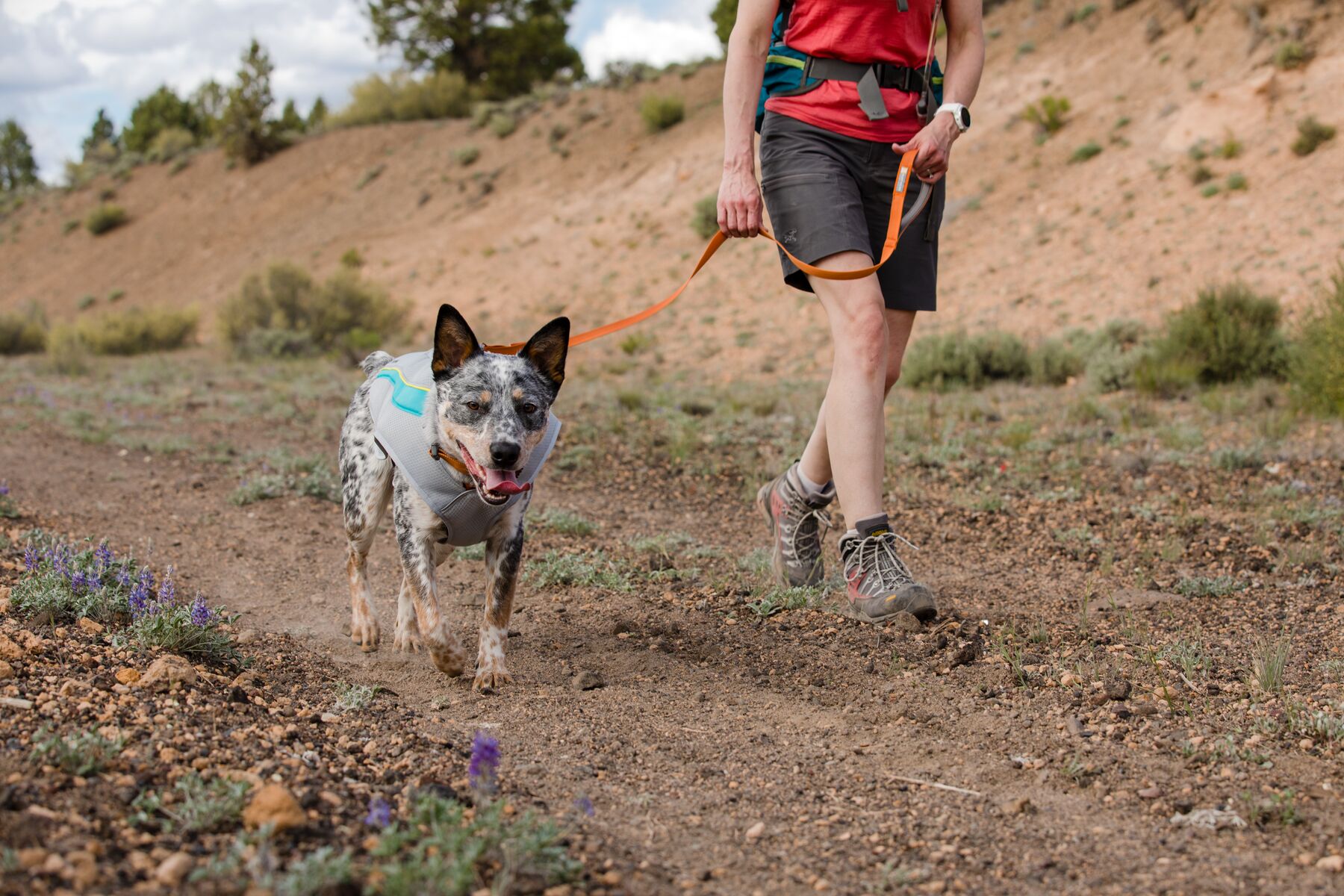 RuffWear Front Range™ Leash (one size)