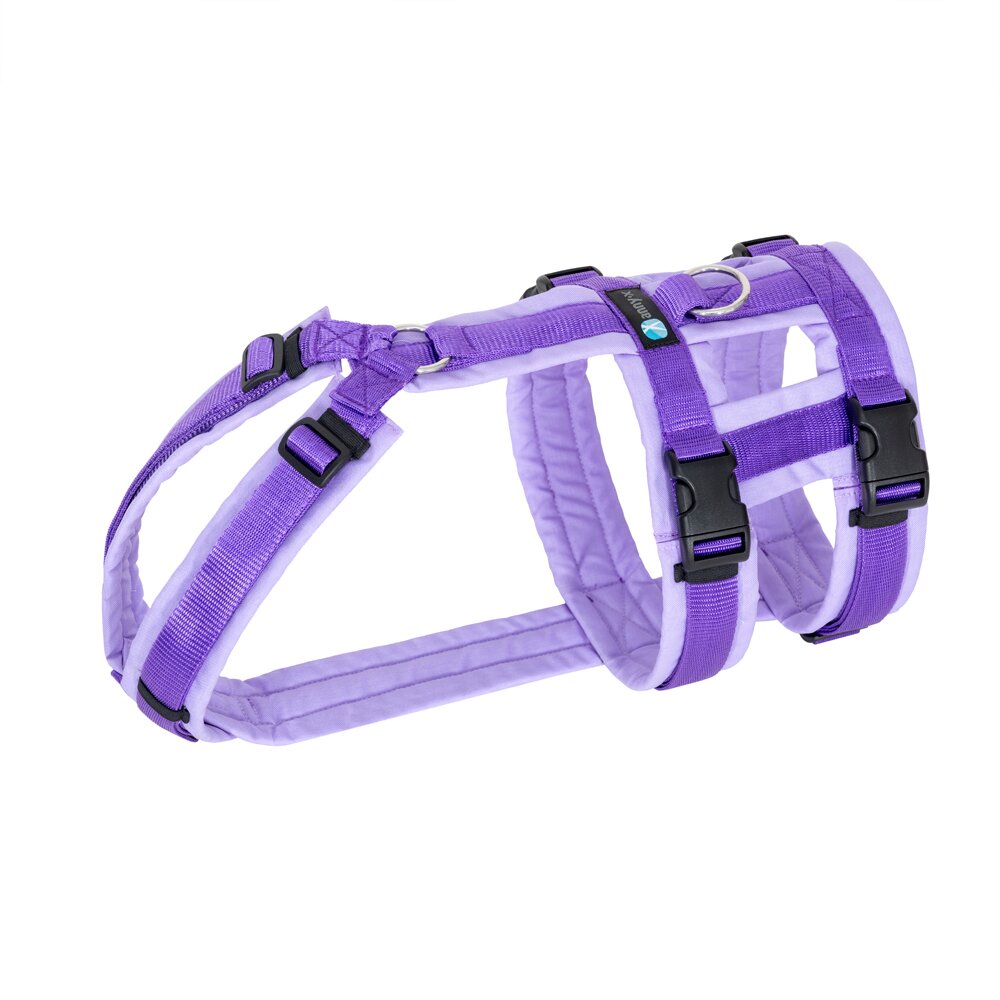 annyx Geschirr Safety Lavendel