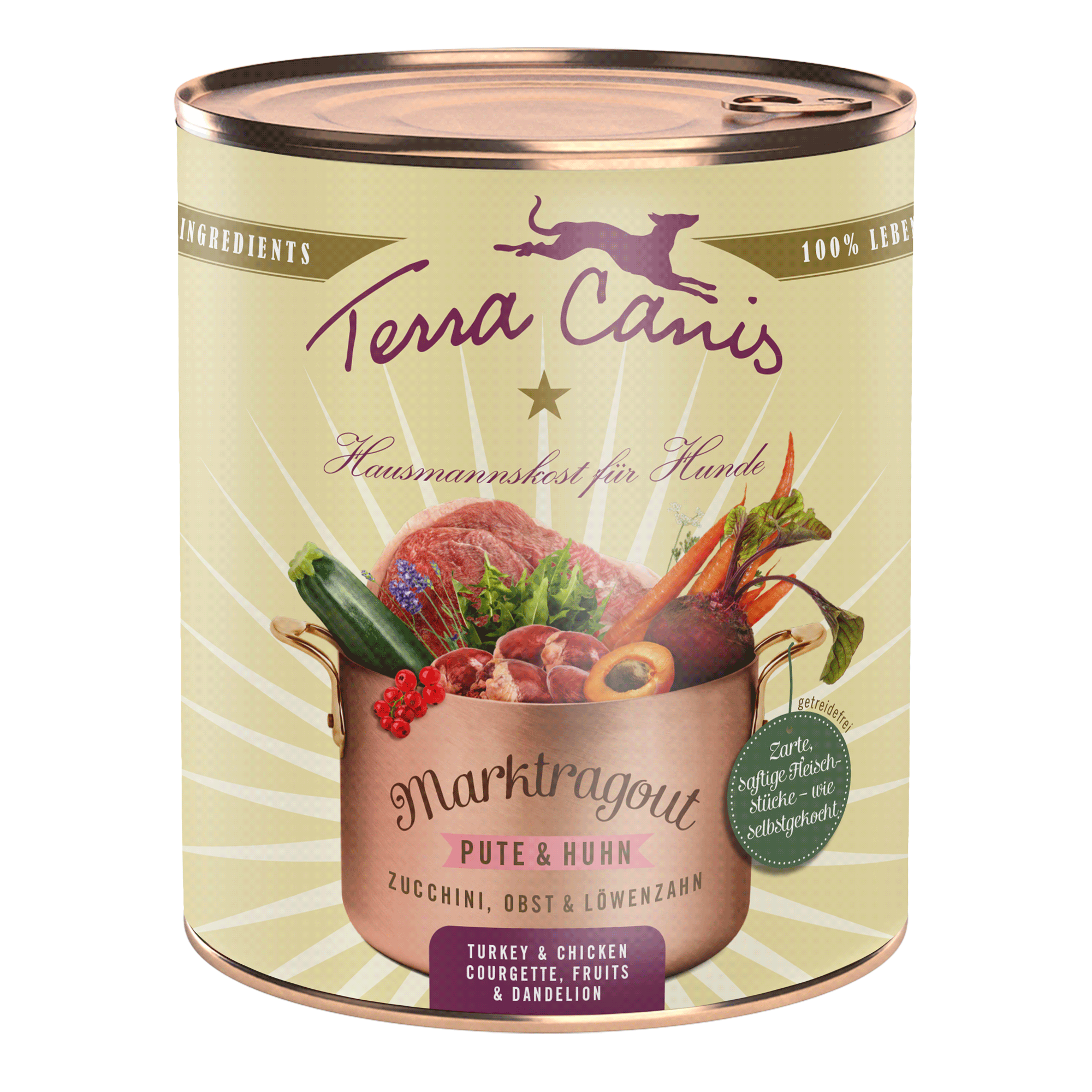 Terra Canis Senior Hundefutter – 6 Dosen à 800 G Mit Pute, Für ältere Hunde