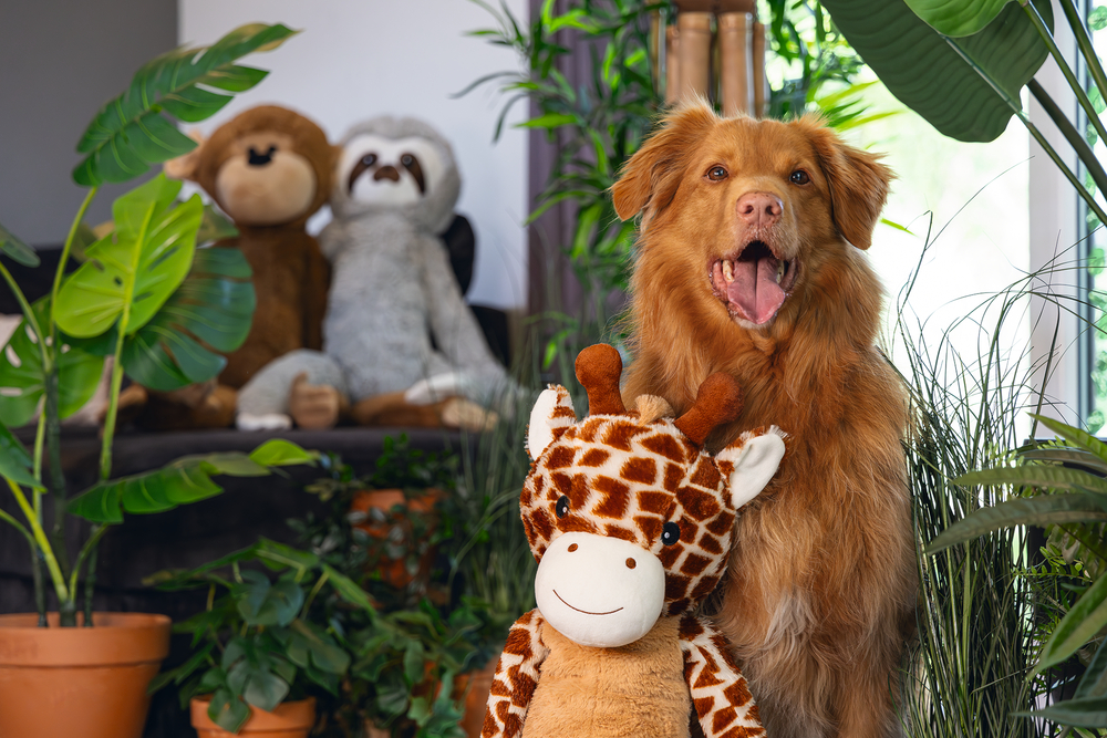 Beeztees Dschungel Giraffe XL 85cm