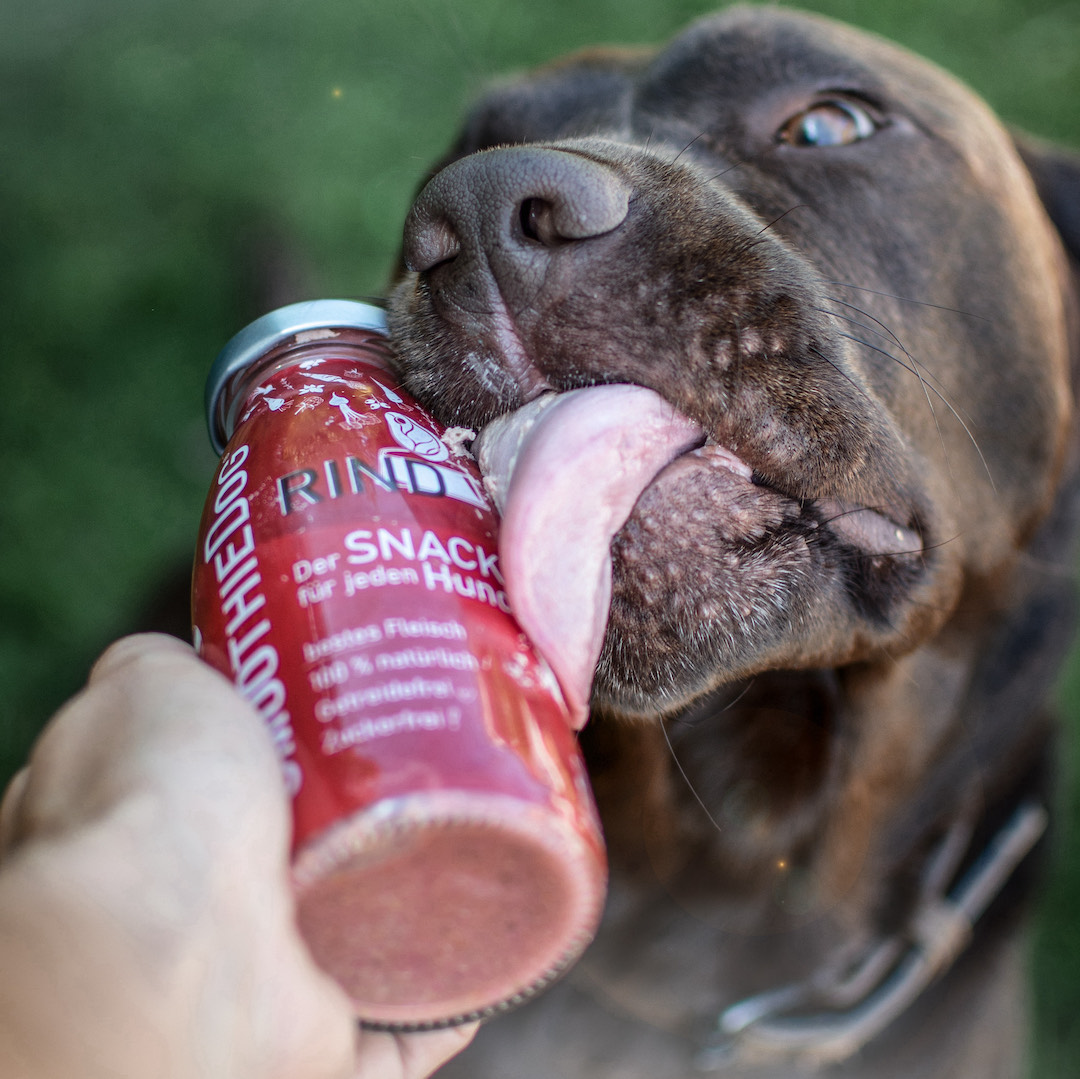 SmoothieDog Rind 250ml