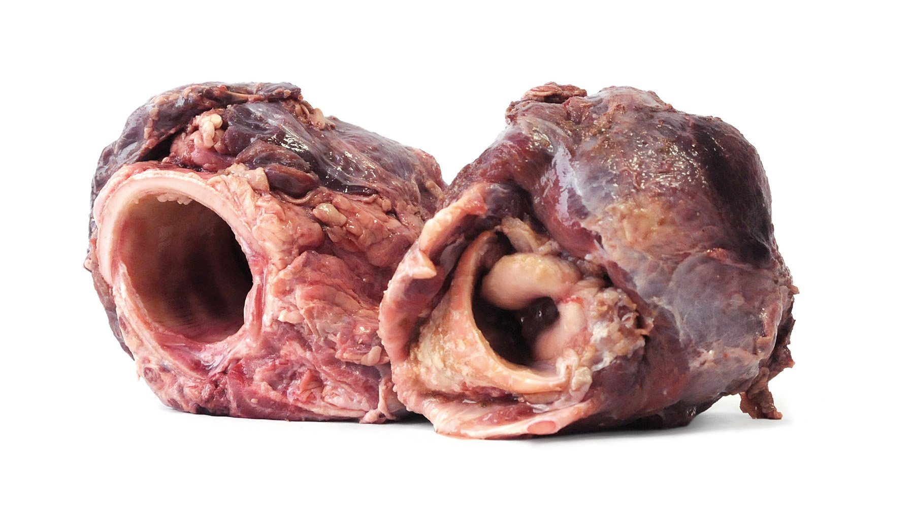 Tackenberg Ganze Bio-Rinderkehlköpfe 750g