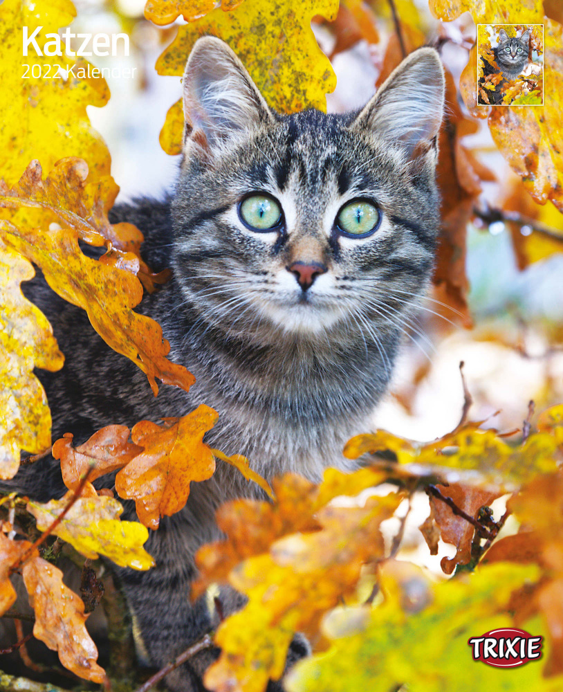 Trixie Kalender 2022 Katzen