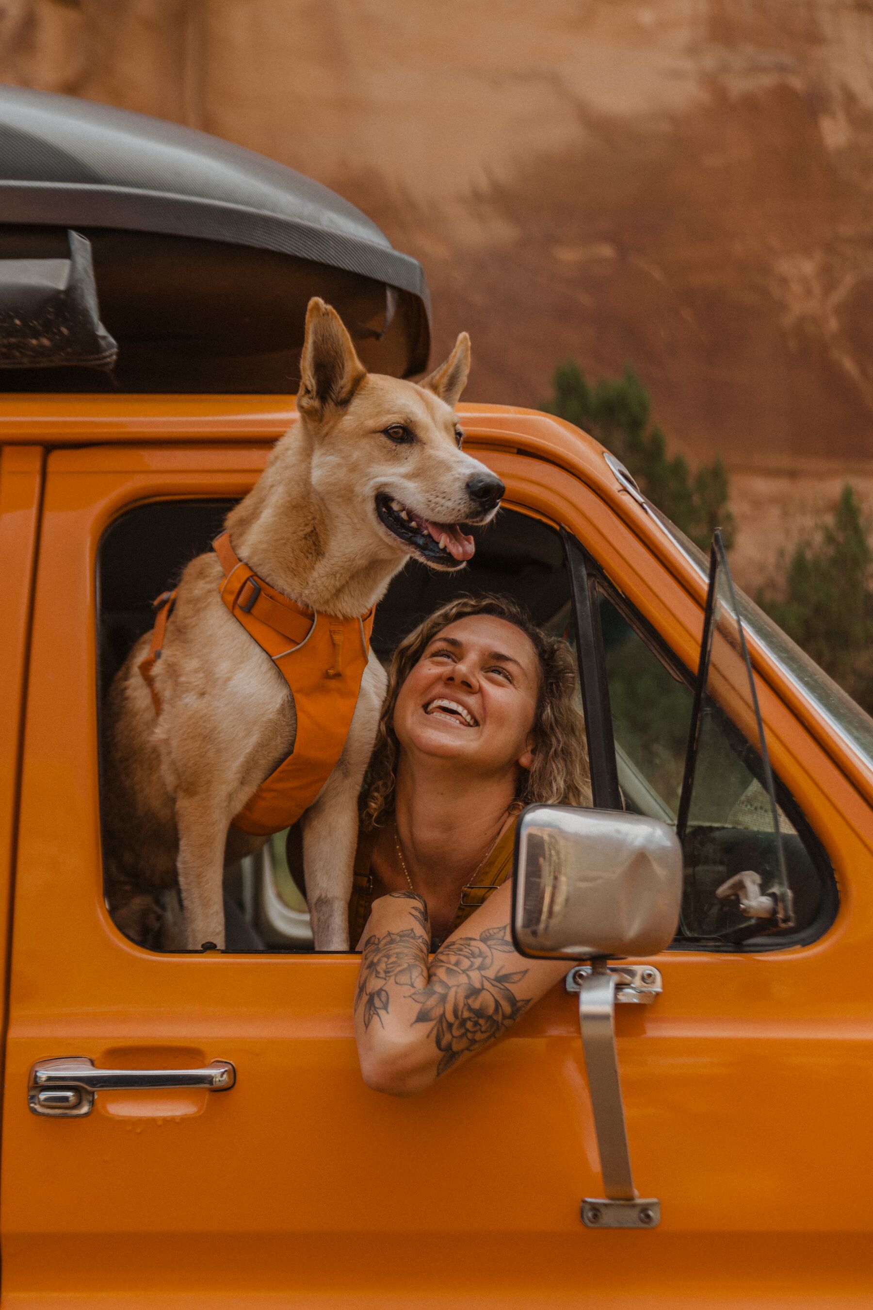 Ruffwear Front Range Harness Campfire Orange