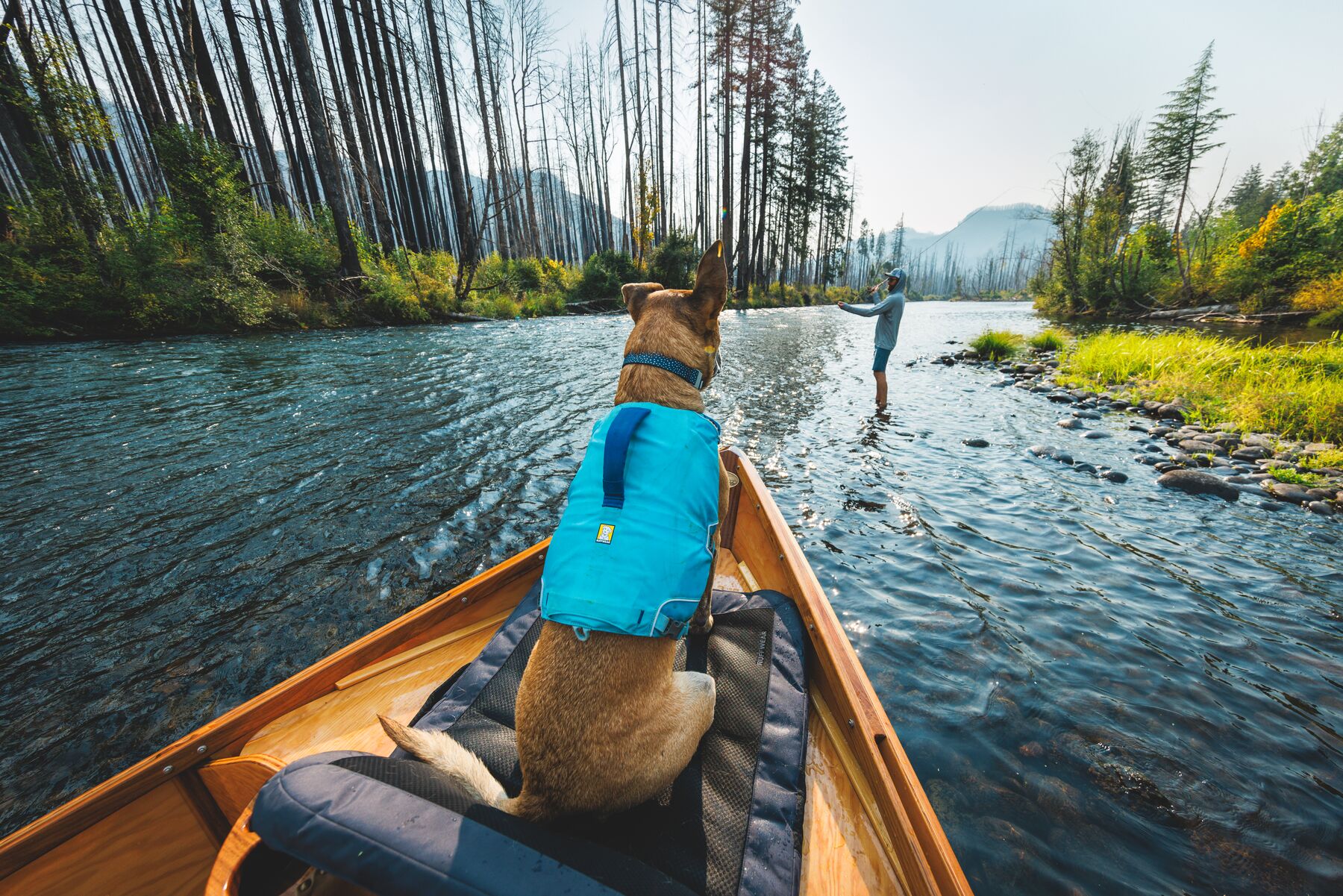 Ruffwear Confluence™ Support Jacket Biolumin Blue Ruffwear Confluence™ Support Jacket Biolumin Blue