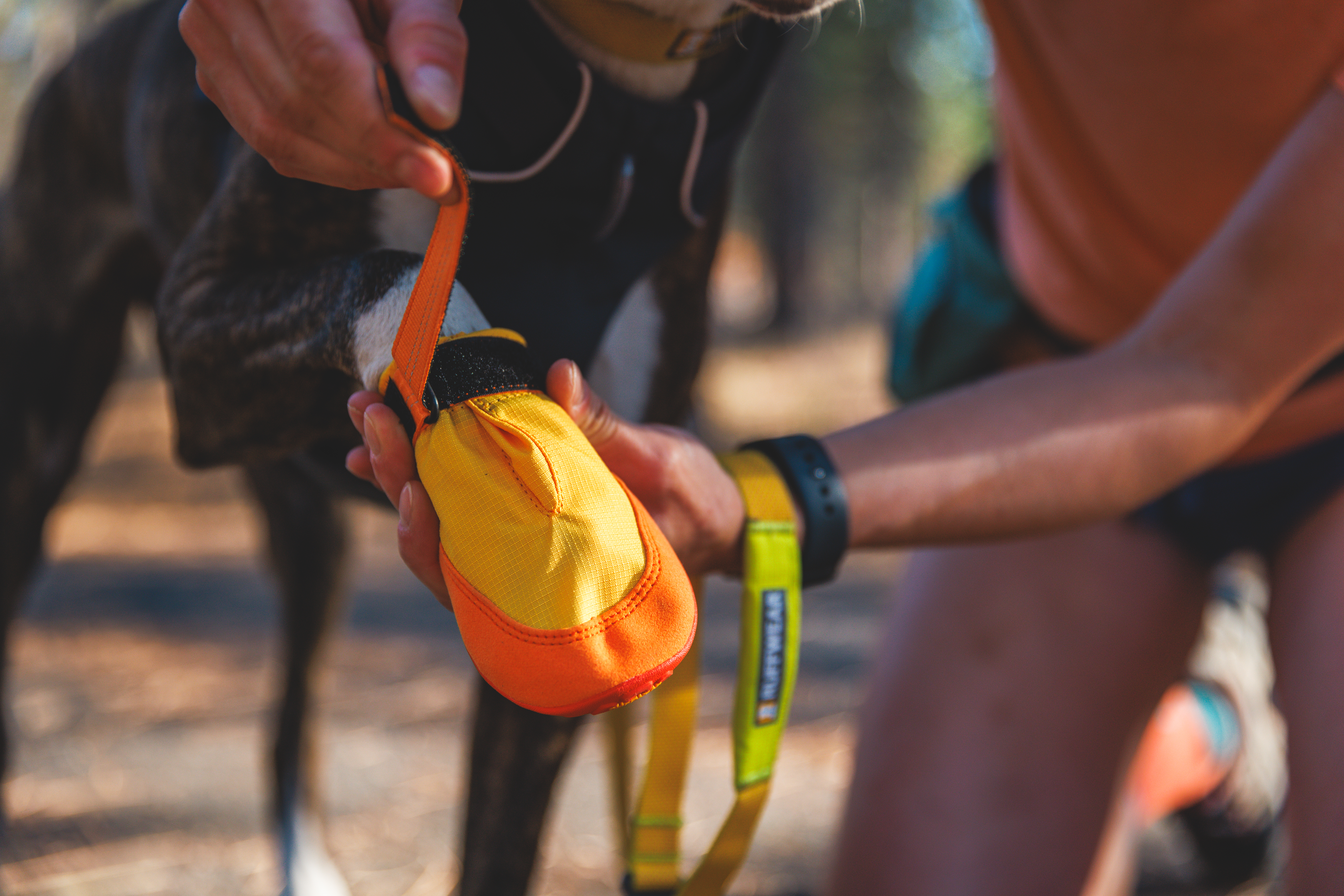 Ruffwear Summit Trex™ - box of 2 - Sunrise Yellow